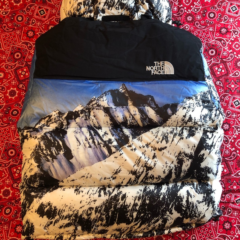 Supreme X TNF Expedition Down Jacket Sz Small - Picture 3 of 8